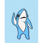 Sharks buds
