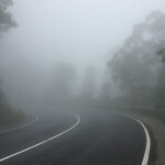 *•.¸♡:･ﾟ✧