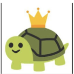 #Team Turtle Bro’s