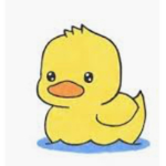 Duckie Squad Official