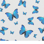 Butterfly..squad..