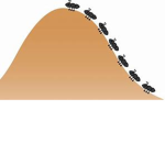 Ant hill city