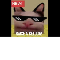 raise a jimm