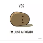 KFPotato army