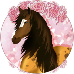 Starcrest Riding Academy