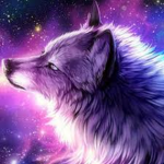 Galaxy Dog Fans