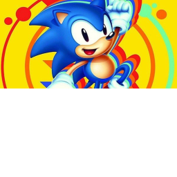 Surviaval Sonic the killer