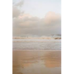 ʟᴀᴠᴇɴᴅᴇʀ ᴀᴘᴘᴀʀᴇʟ