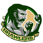 Birmingham Brawlers Football