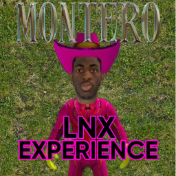 LNX Festival