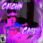 Catchin cases