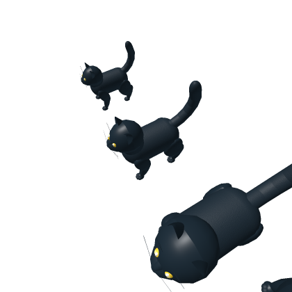 Cat Models