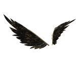 [ Surprise ] Black Gold Marble Wings