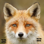 -Fox Empire-