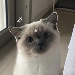 - kitty.starz -