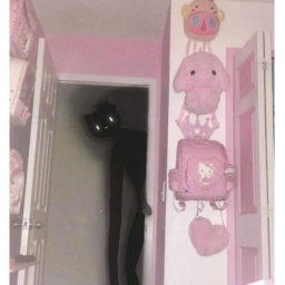 mr kitty