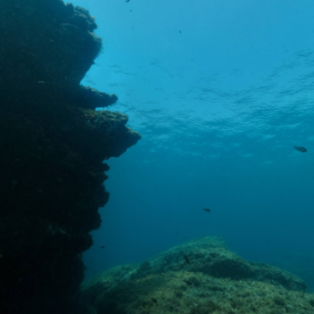 Underwater Fight