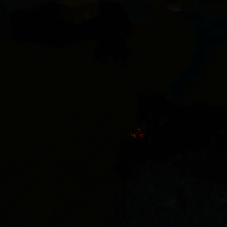 survive warm the killer