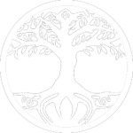 Eden Reassembly Directive / Insurgence
