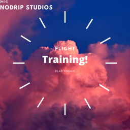 Flight Training!