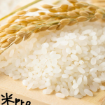 rice cooking army