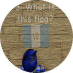 What is this flag? (2)