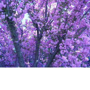  Ρ Δ Я Δ d I Ϩ Ξ