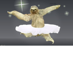 SLOTH BALLERINAS!