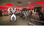 big toad gym