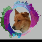 WiseWolf Productions Zombie fighting