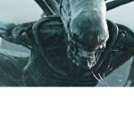 Xenomorph Hive :D