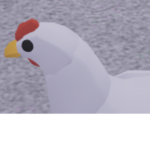 BAWK clan
