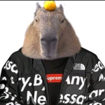 Capybara overlords