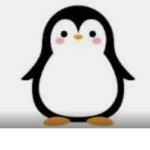 Just a girl who loves PENGUINS