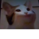 Amoog us is sus