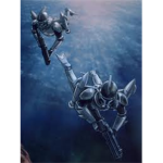 Troops of the 501st Navy