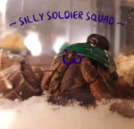 ~ Silly Solider Squad ~