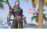 Ninja Force (NF)