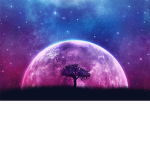 galaxy bros group