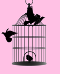 雛の鳥籠