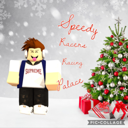 Speedy Races