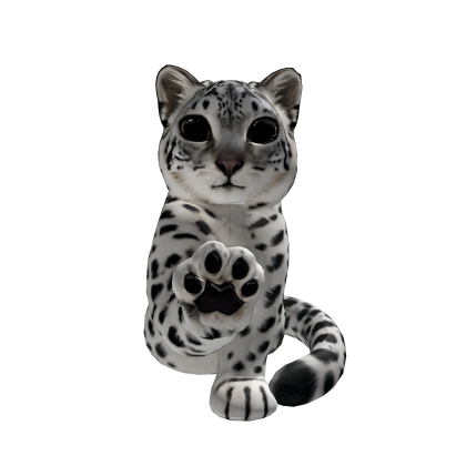 snowleopard cat mei mei 