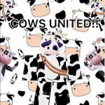 Cows, United!!
