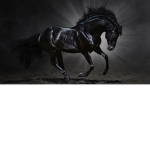 Awesome amazing cool horse
