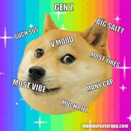 The doge hangout