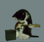 !Kitty!Kittens!Cats!