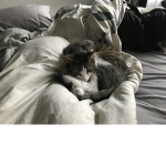 Kat's ARE CUTE