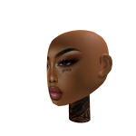 CUSTOM