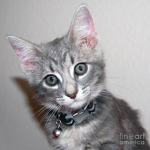Watsup Daniella :D