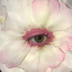 Flower-Knows